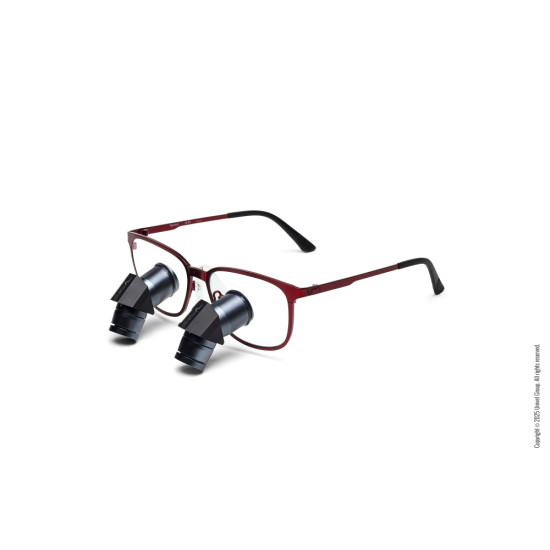 MyErgo RFR Squared loepbril